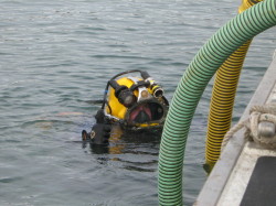 2007 Diving, Jessica, Tofino